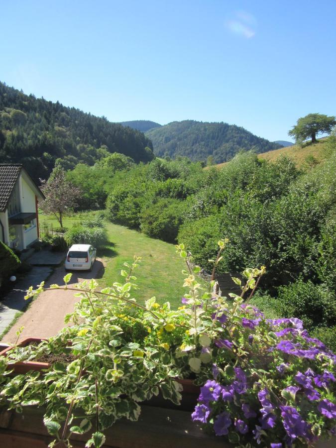 Ferienwohnungen Schwabenhof Schramberg Exterior foto